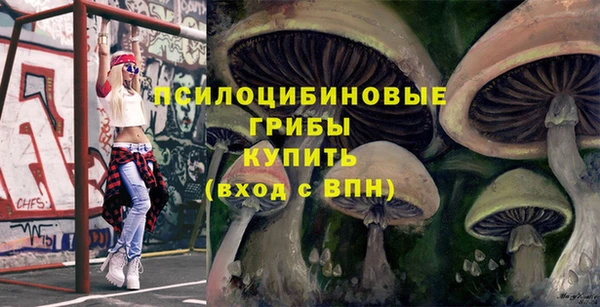 таблы Алзамай