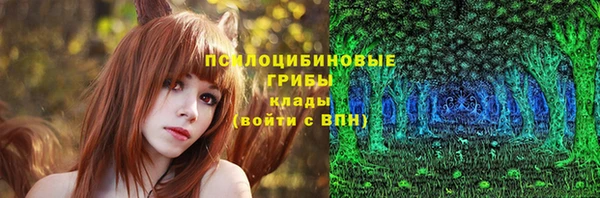 таблы Алзамай