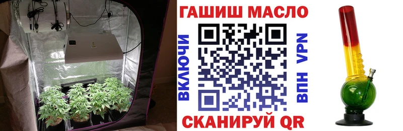 Купить закладки  Трубчевск  ТГК вейп с тгк 